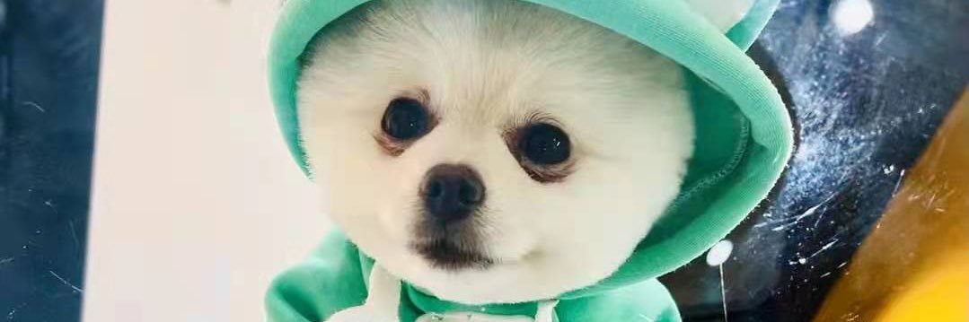 SamuelSim's profile banner image