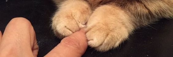 alwayslucxs's profile banner image