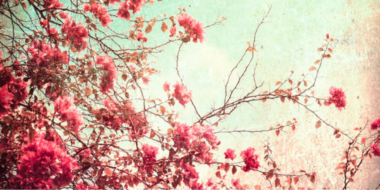 Elena_Att's profile banner image