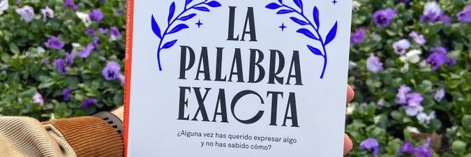 Diccionario VIP banner