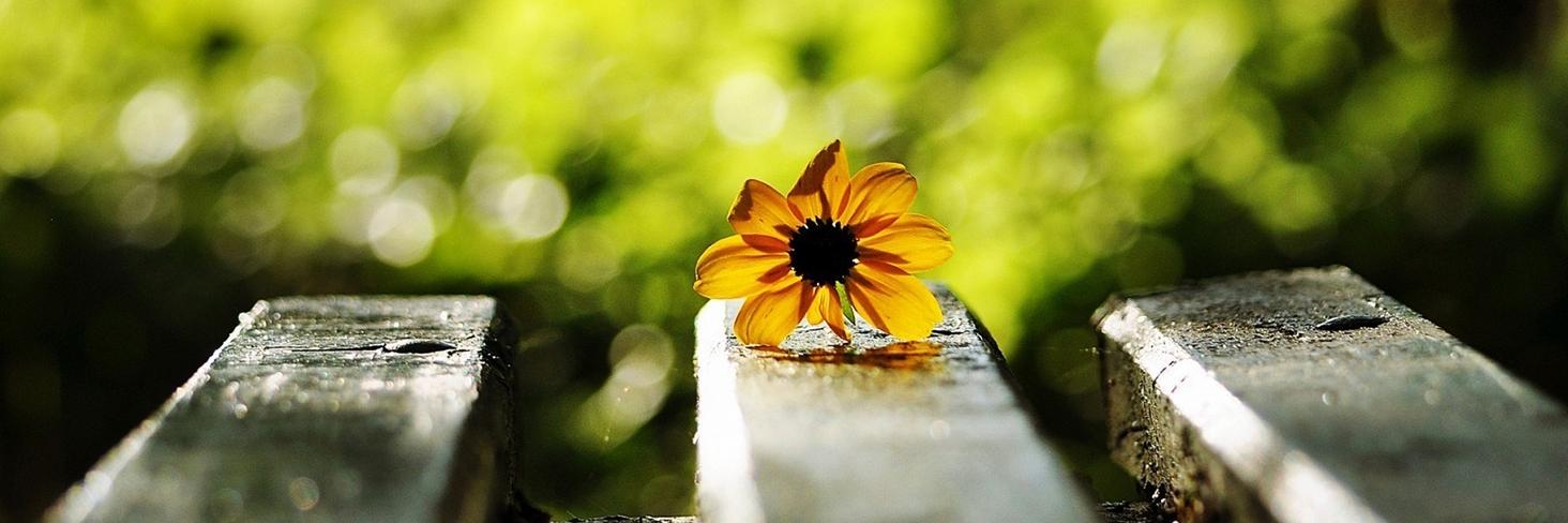 HadeeL_com's profile banner image