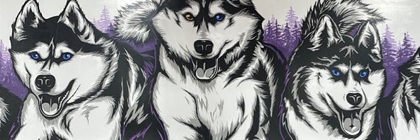 HuskyActivities Profile Banner