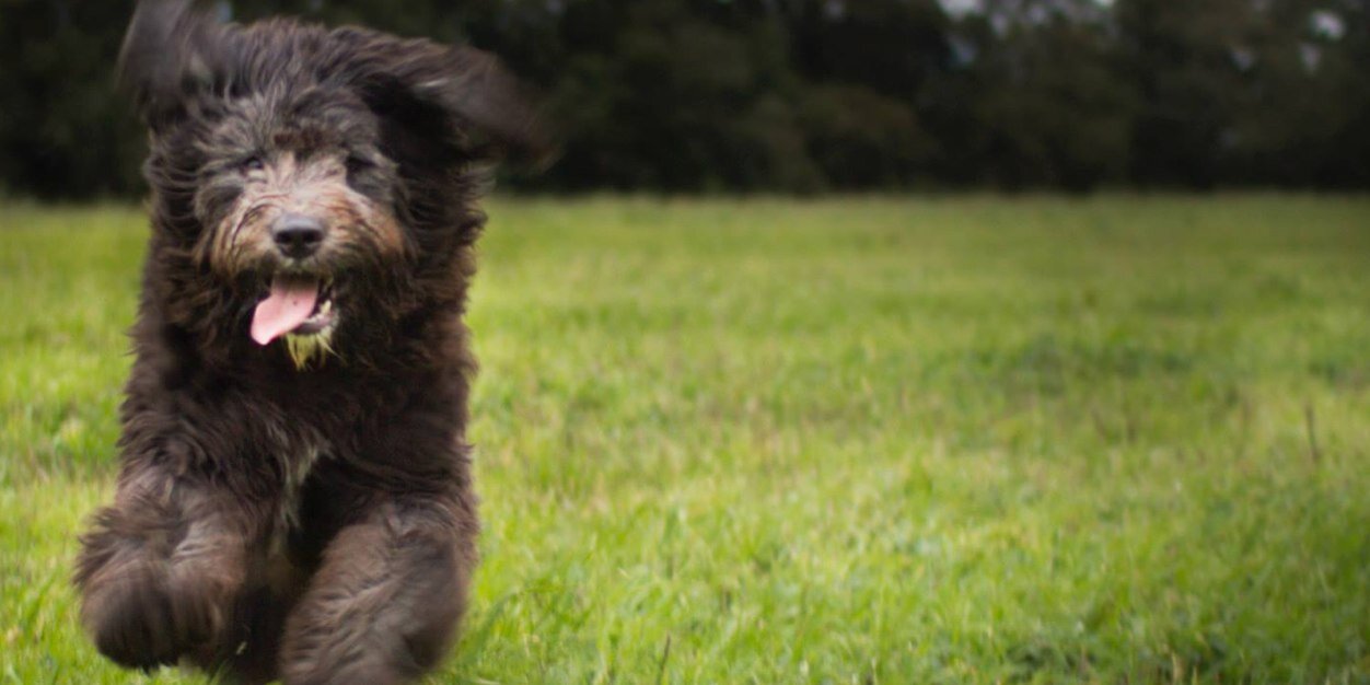 psitspeggy's profile banner image