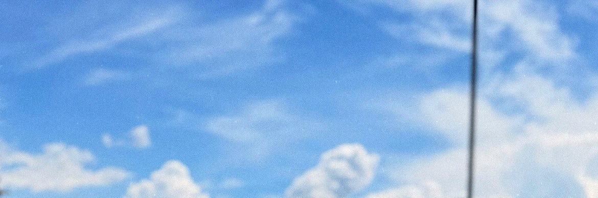 bee_esc_'s profile banner image