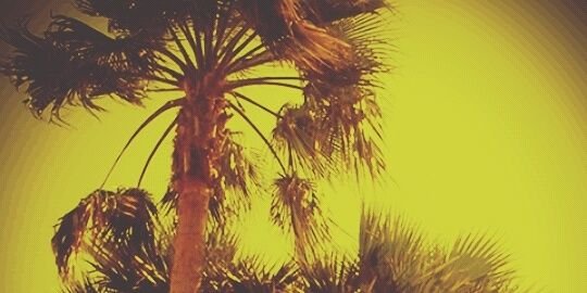 Marixuliii's profile banner image