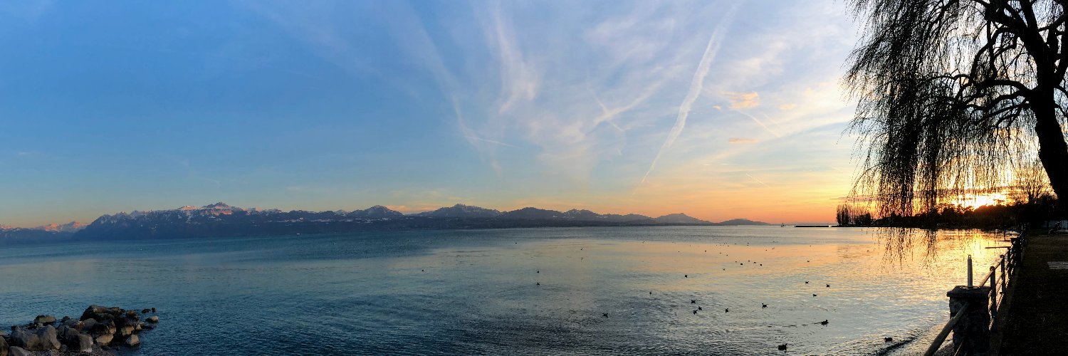 Adriaan Moors banner