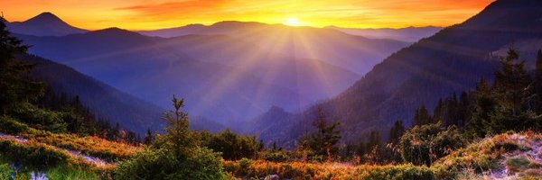 DogsAreWorthy Profile Banner