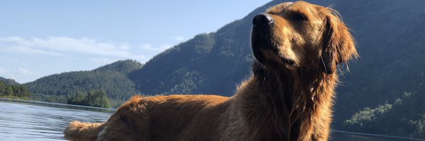 Ollies Profile Banner