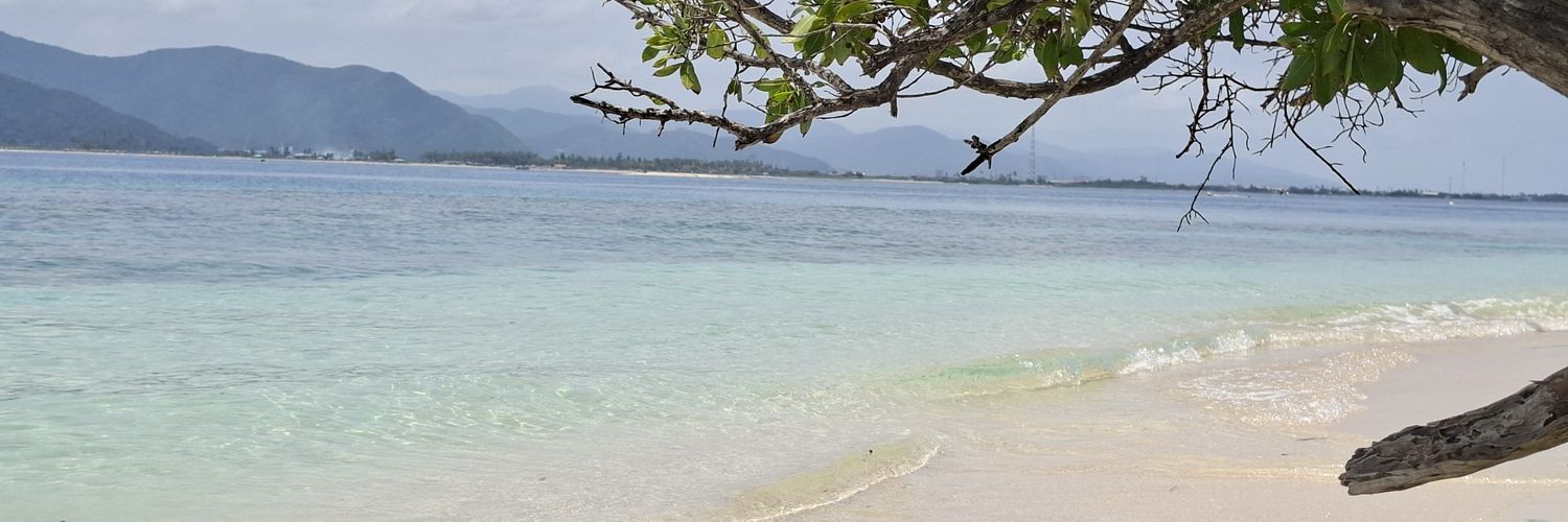 Pablo Lizardo banner