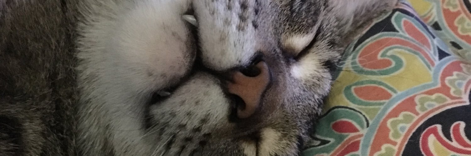 terileenz's profile banner image
