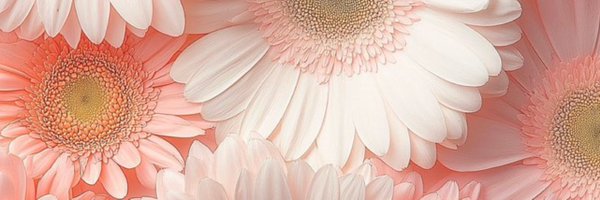 Aphrohditee Profile Banner