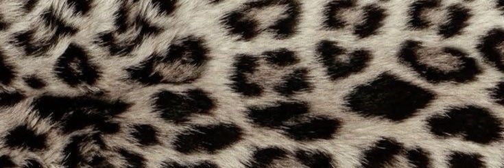 iare banner