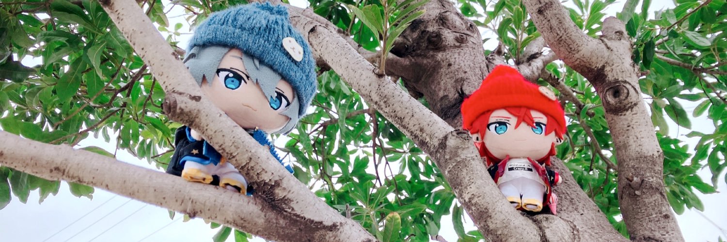 mezzo_crazy's profile banner image