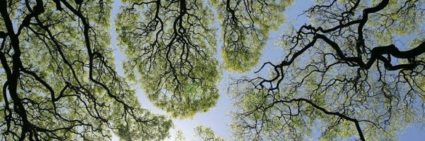 jakemclain_ Profile Banner