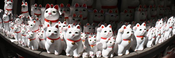 Azzzzzmcat Profile Banner