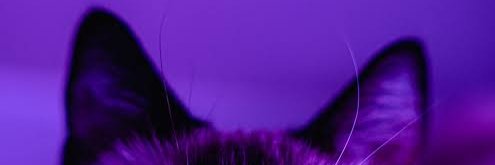 DikaZalin's profile banner image