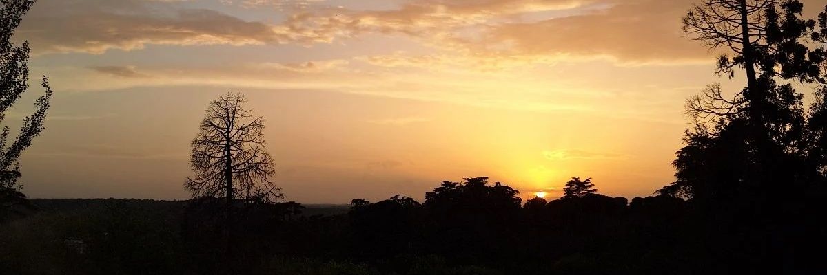OutwardlyDecent's profile banner image