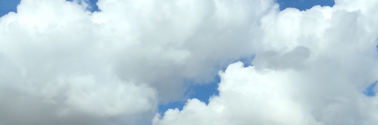 Victoria Conception banner