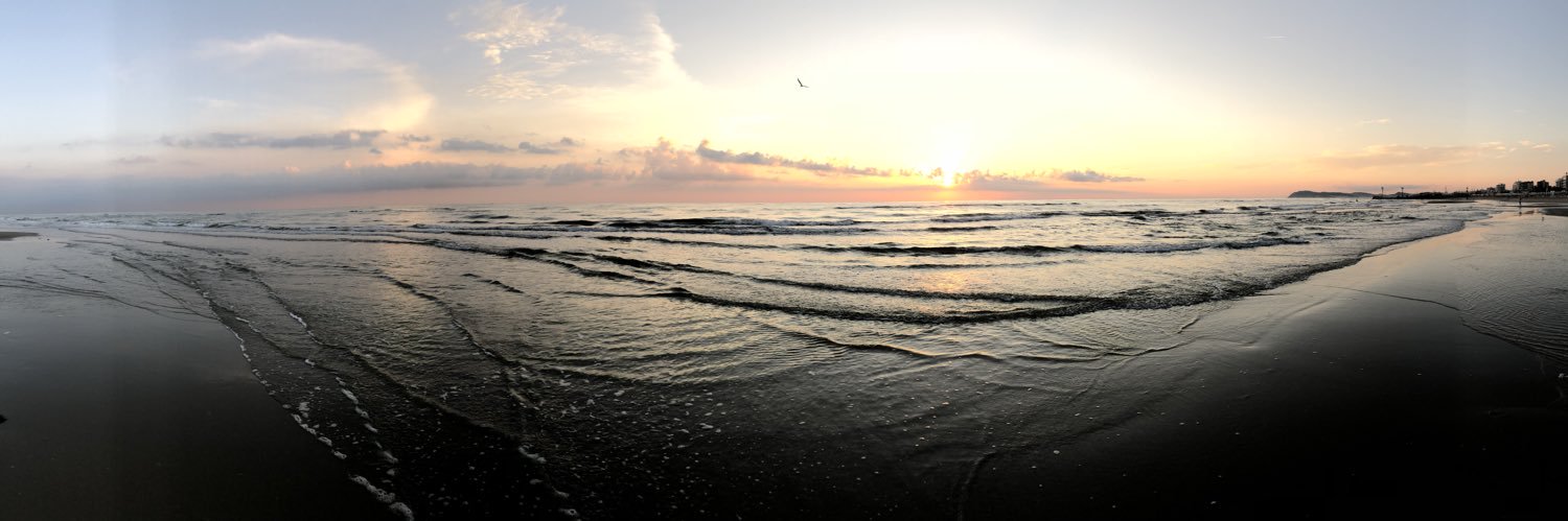 mlmphotograph's profile banner image