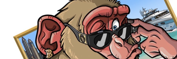 🐒The Social Monkey🐒 banner