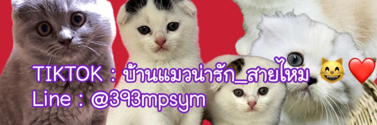 kaew_tq's profile banner image