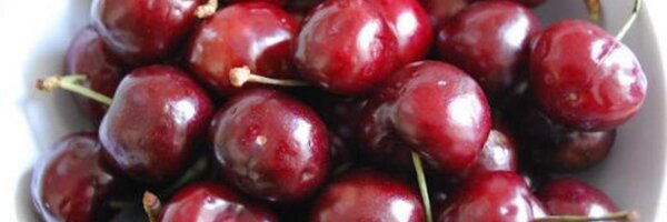 jaxstar84 Profile Banner