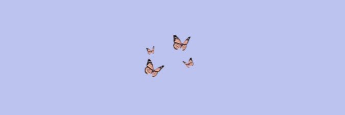 chelseamaerritt's profile banner image