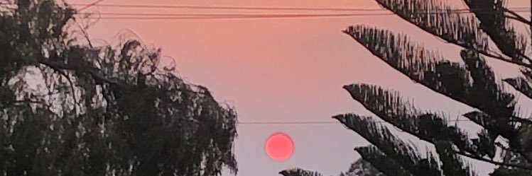 T banner