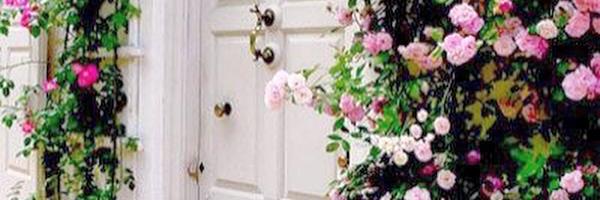 symn_r's profile banner image