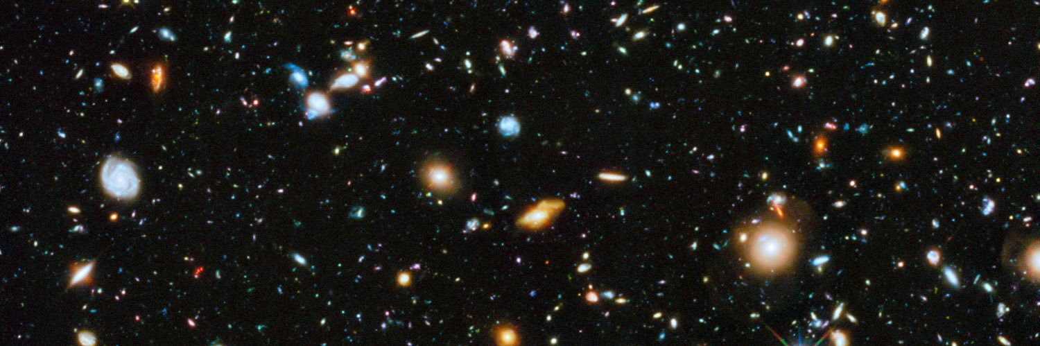 Elizabeth Below banner