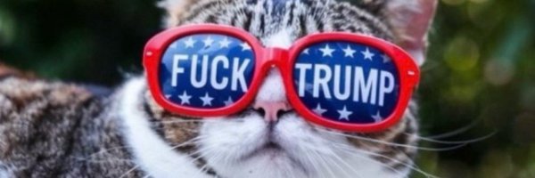 AnimalsRockOn Profile Banner