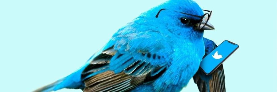 mmpeete's profile banner image