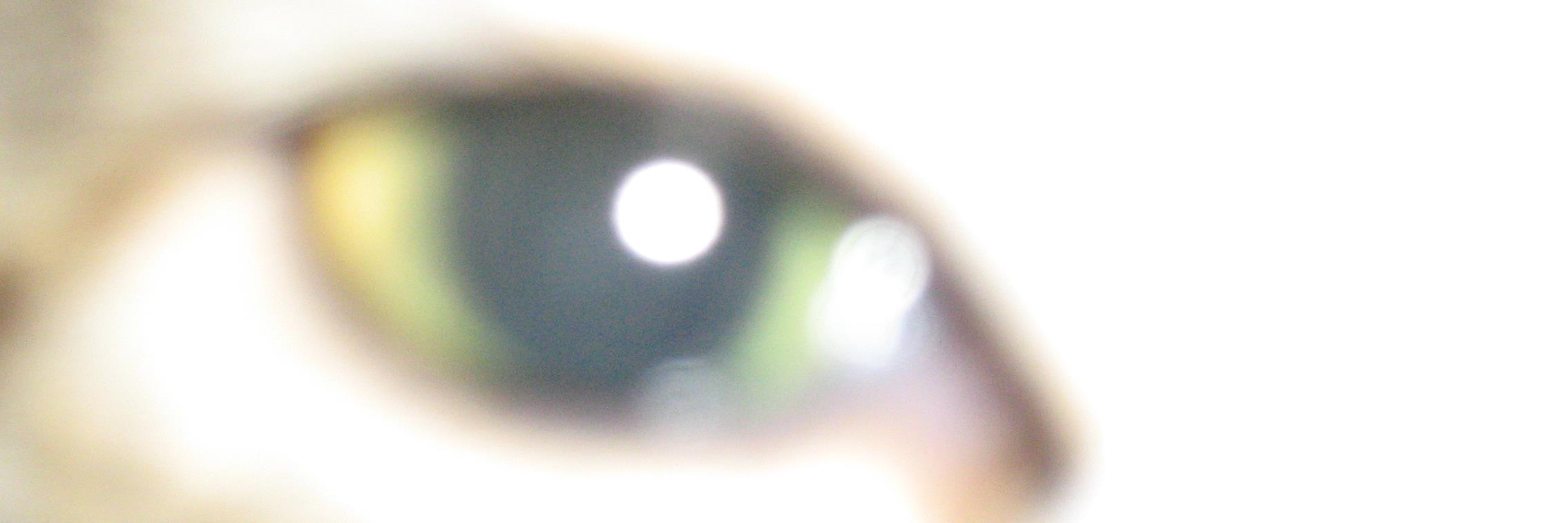 vpbx33's profile banner image