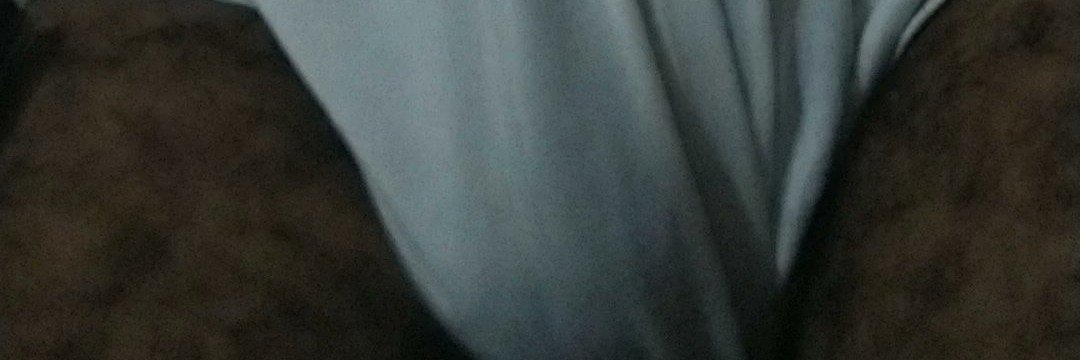 Animatronikss's profile banner image