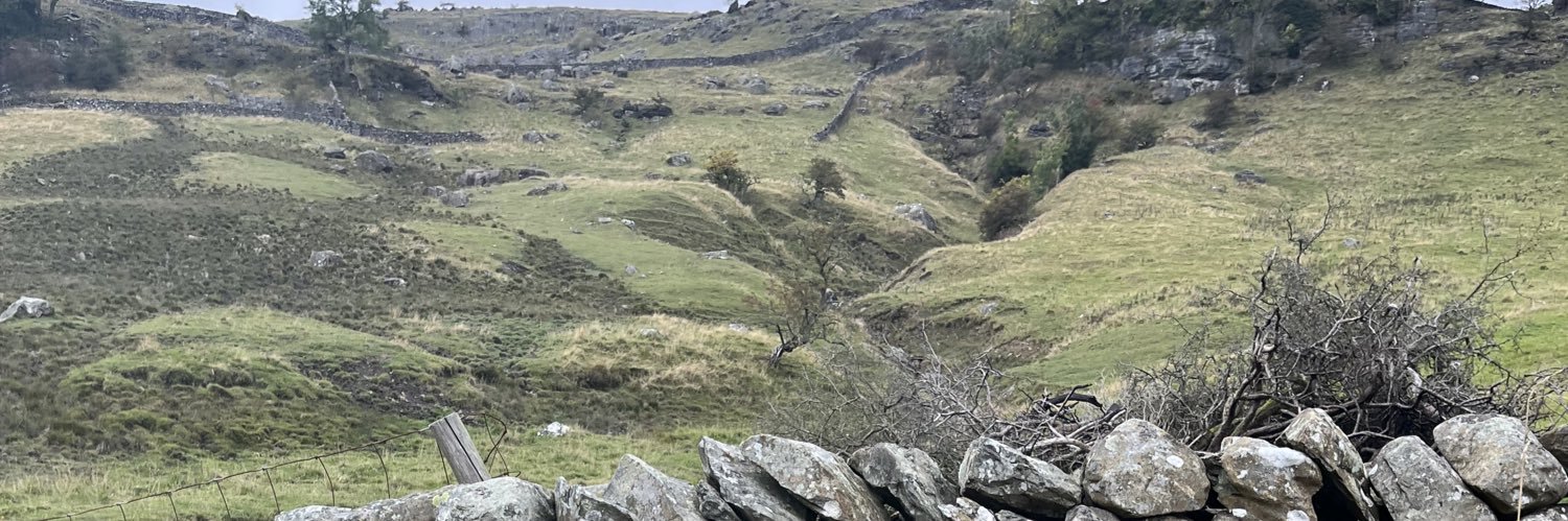 nicola gower🍊💙 banner