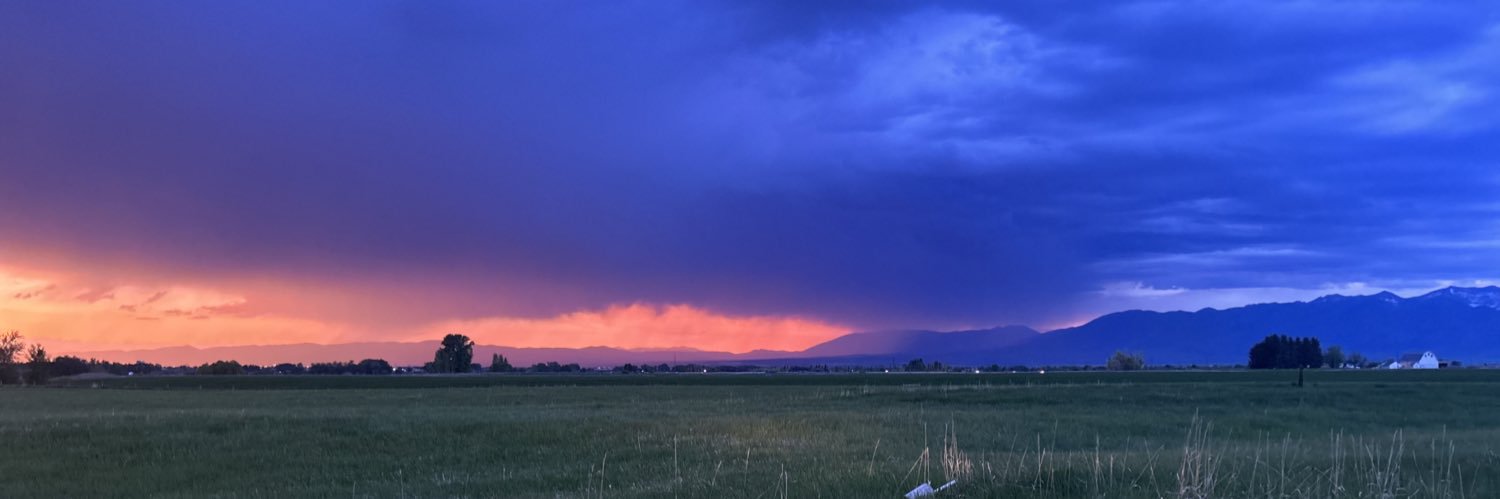 Elizabeth Fitz banner