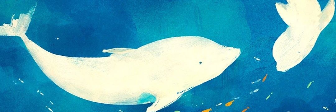 guyidksjyu's profile banner image