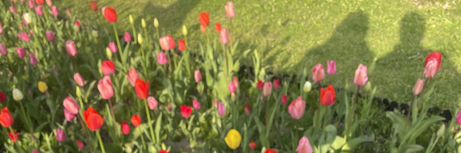 hisukeee89's profile banner image