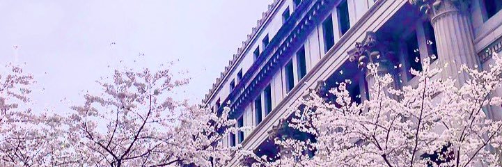 HamasanGo's profile banner image