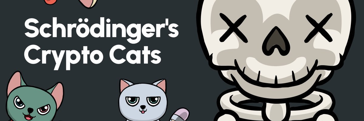 🥼📦?💀:😻 - Schrodinger's Crypto Cats banner