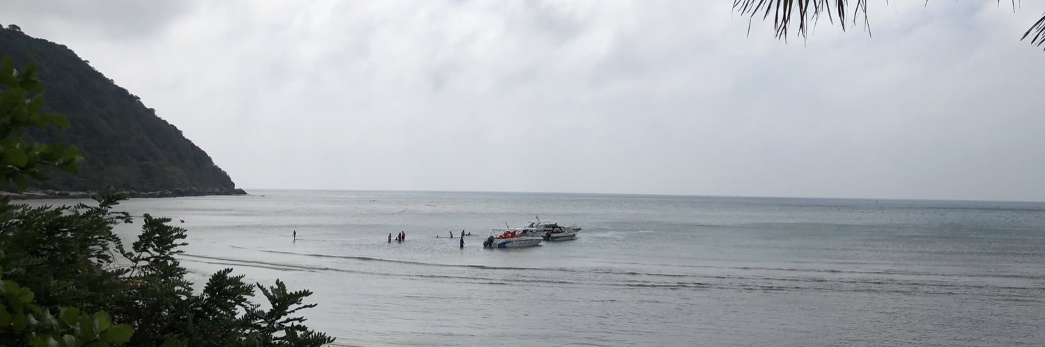 Danha811 banner