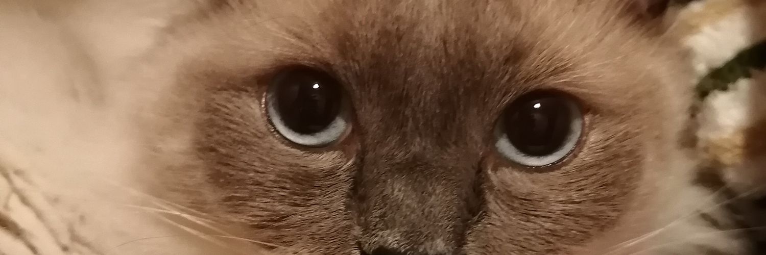 GwLv7's profile banner image