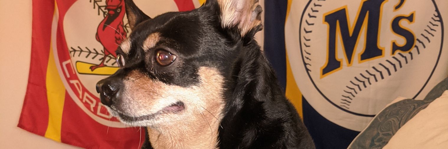 sheldonclyde's profile banner image
