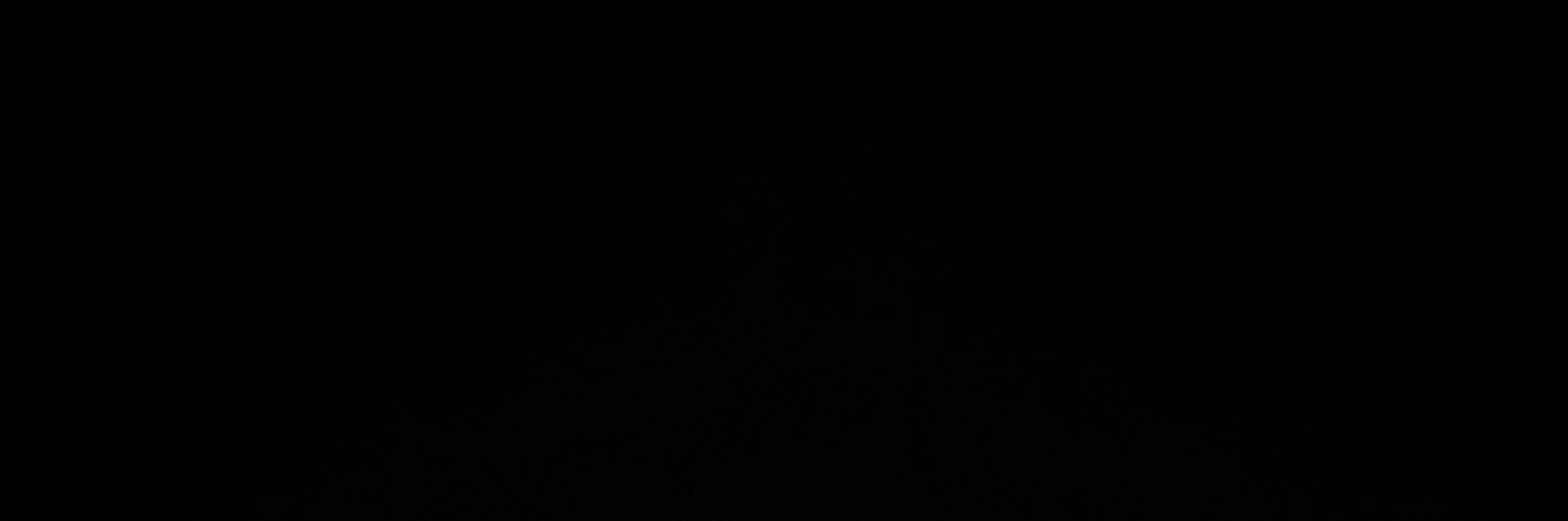 PennyPozzar's profile banner image