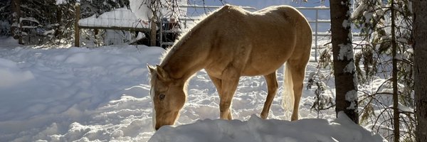 CatherineCook58 Profile Banner