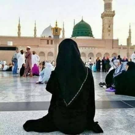 سگ مصطفیٰﷺ banner