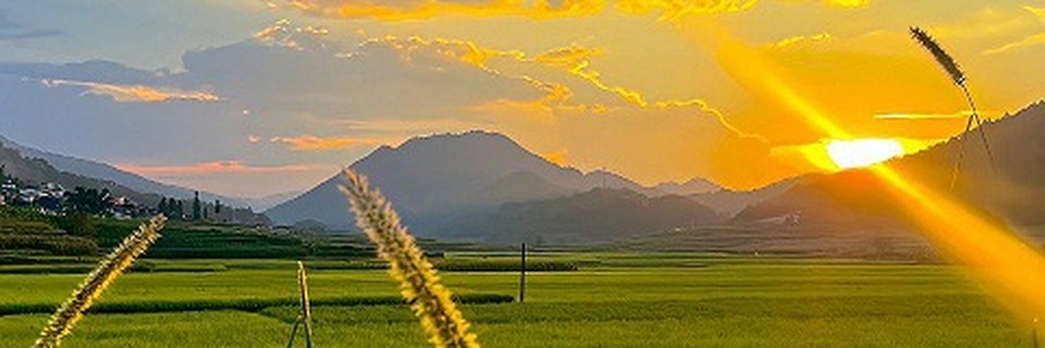 We_D2P's profile banner image