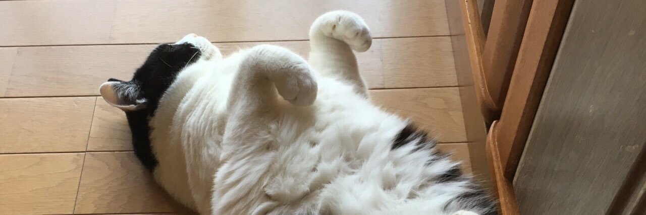 mmmmmimr's profile banner image