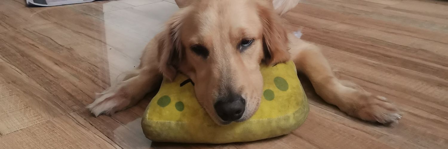 gracezylb ☕ banner