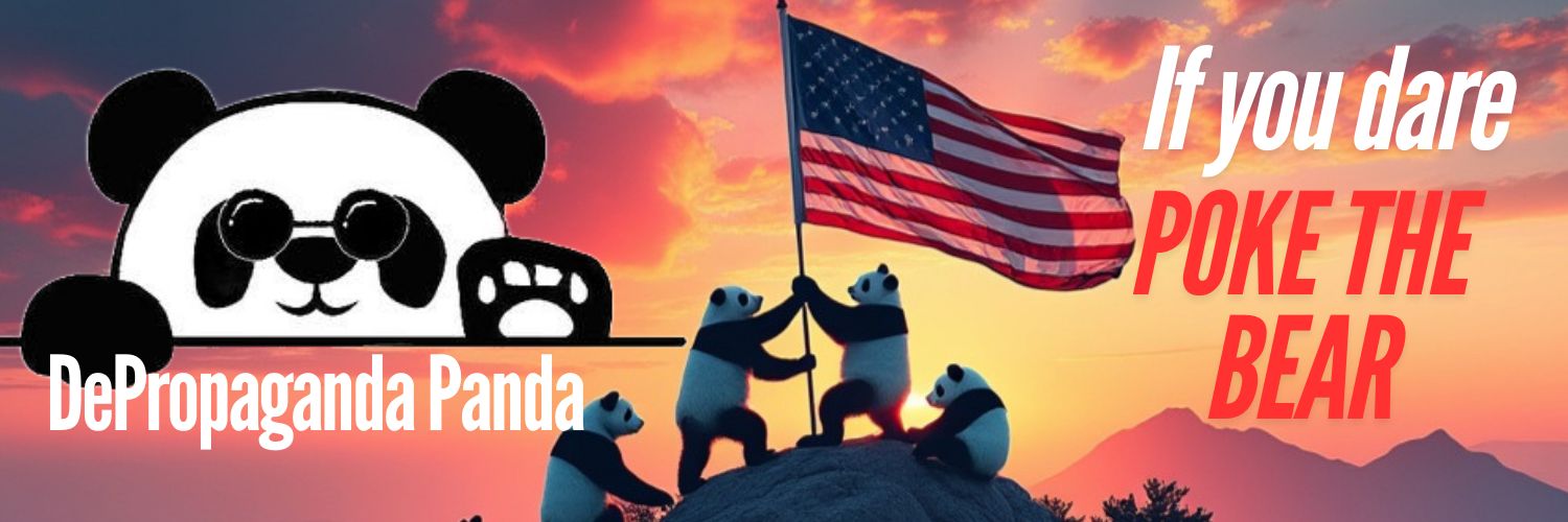 DePropaganda Panda banner